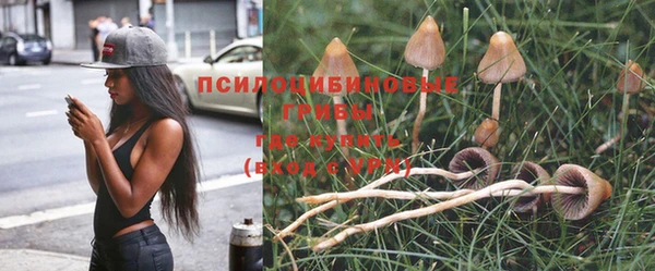 дживик Бердск