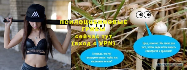 бошки Лиски