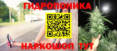 индика Берёзовский