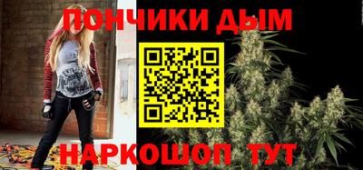 шишки Абакан