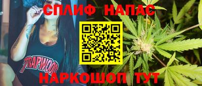 прущие крисы Бийск