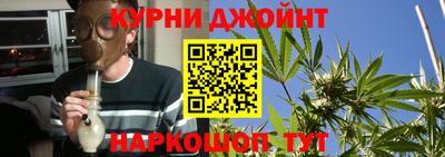 прущие крисы Бийск