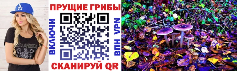 это какой сайт  Железноводск  Псилоцибиновые грибы Psilocybe 