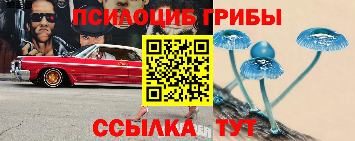 Галлюциногенные грибы Magic Shrooms Железноводск