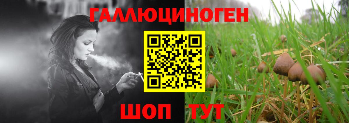 Железноводск  Галлюциногенные грибы Psilocybe  Вход с VPN 